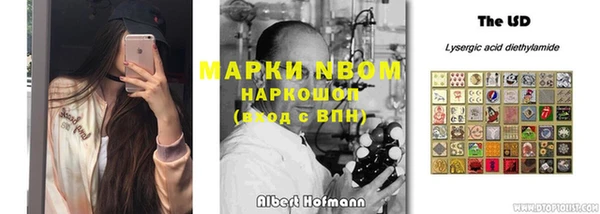 ГАЛЛЮЦИНОГЕННЫЕ ГРИБЫ Алексеевка
