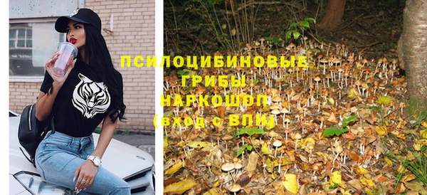 мдпв Краснотурьинск