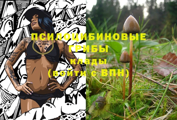 ГАЛЛЮЦИНОГЕННЫЕ ГРИБЫ Алексеевка