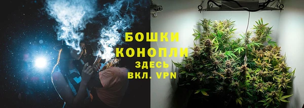 ГАЛЛЮЦИНОГЕННЫЕ ГРИБЫ Алексеевка